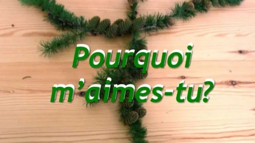 pourquoimaimes-tu-