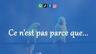 Ce n'est pas parce que...